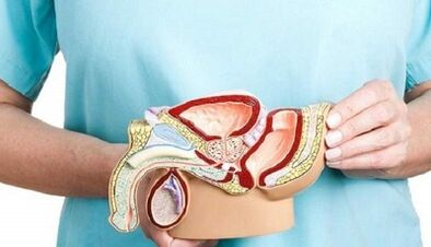 Paano gamutin ang prostatitis sa mga kalalakihan